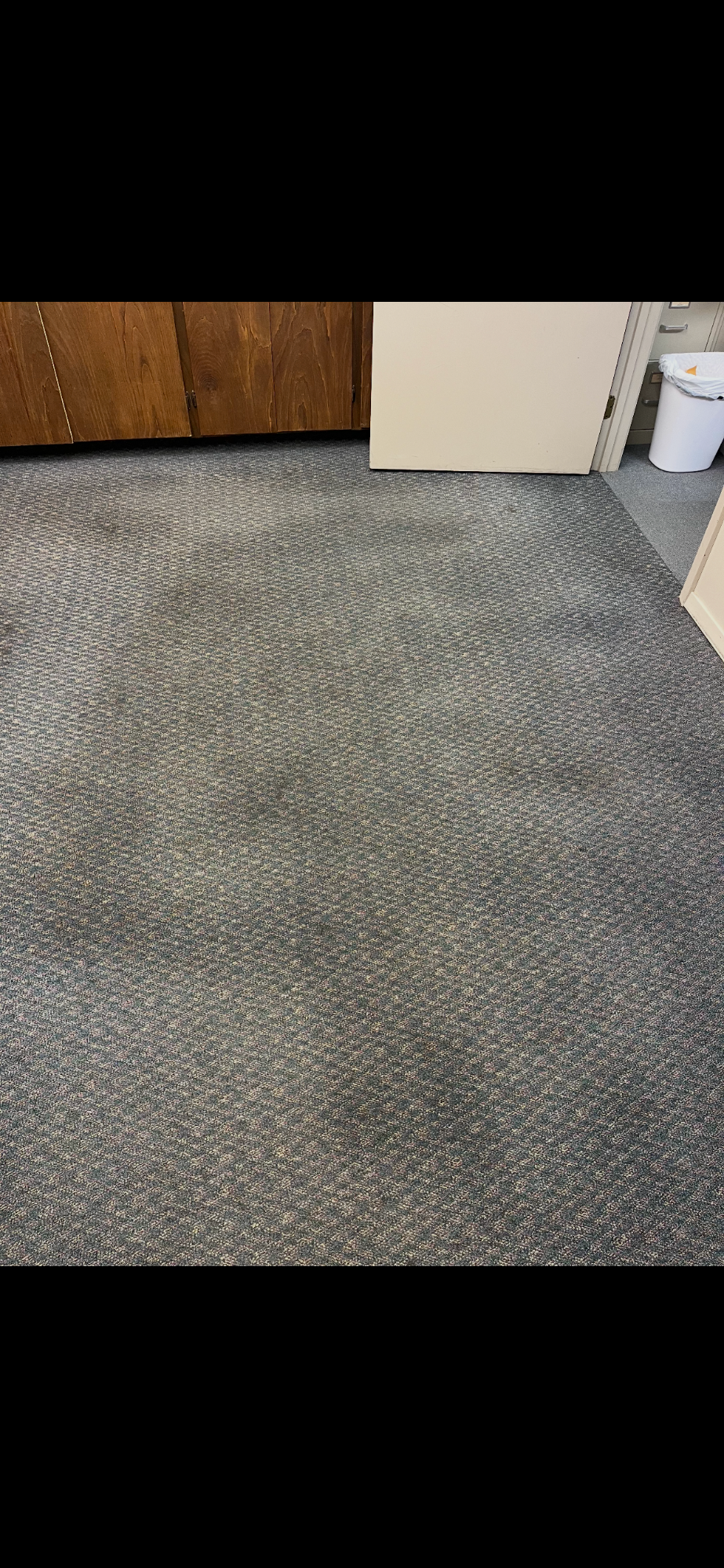 Carpet Cleaners in Livingston, MS