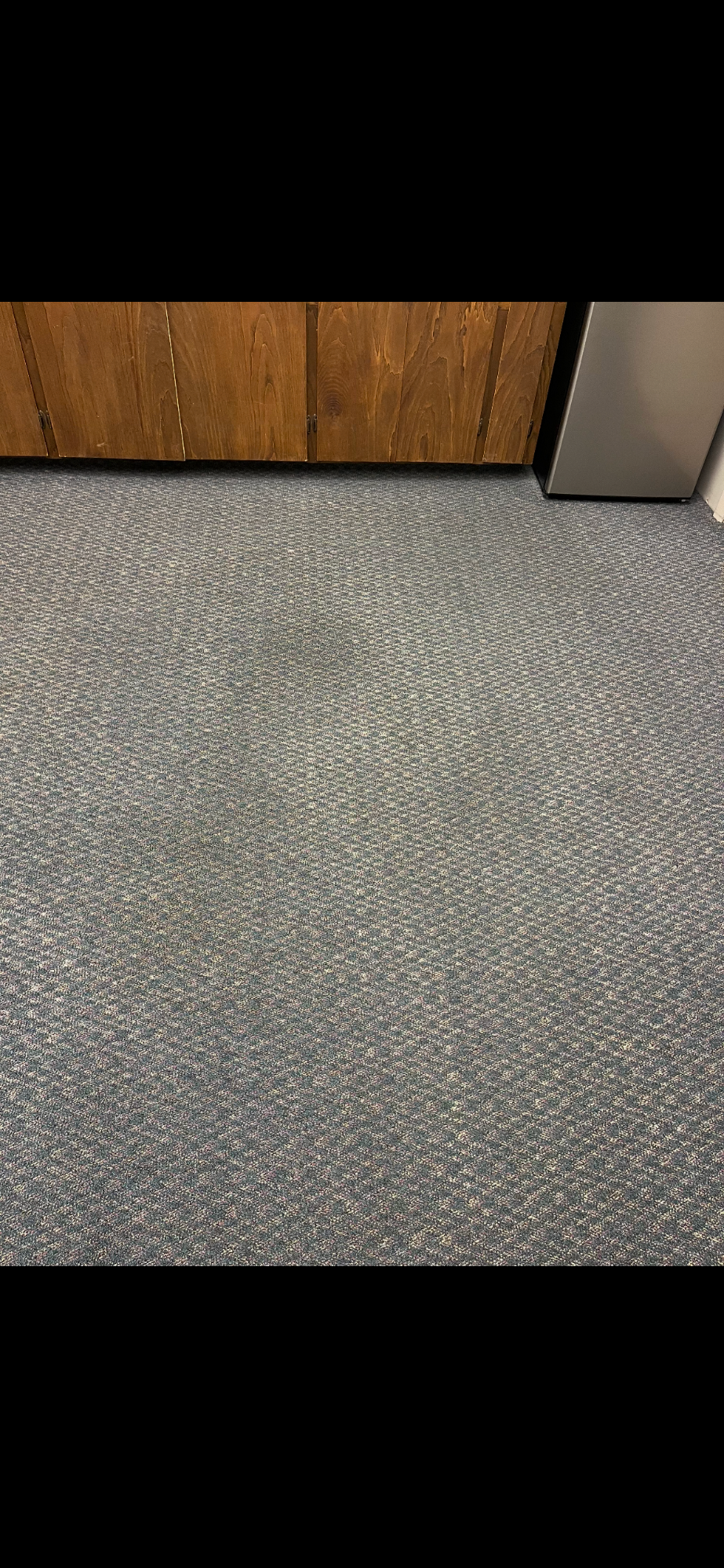 Carpet Cleaners in Livingston, MS