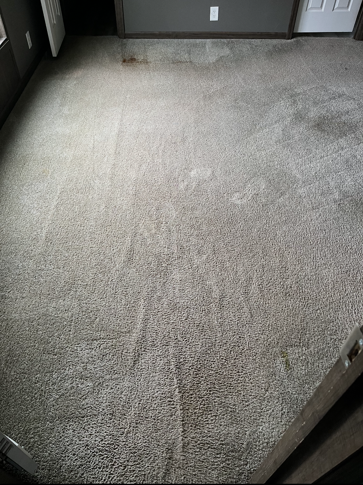 The same tan carpet after dry cleaning, fresh and even