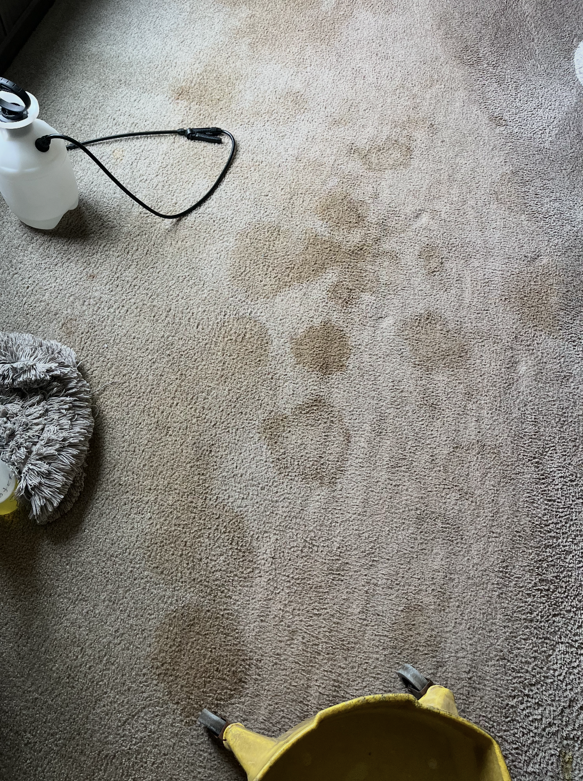 Tan carpet before cleaning, showing soiled traffic lanes