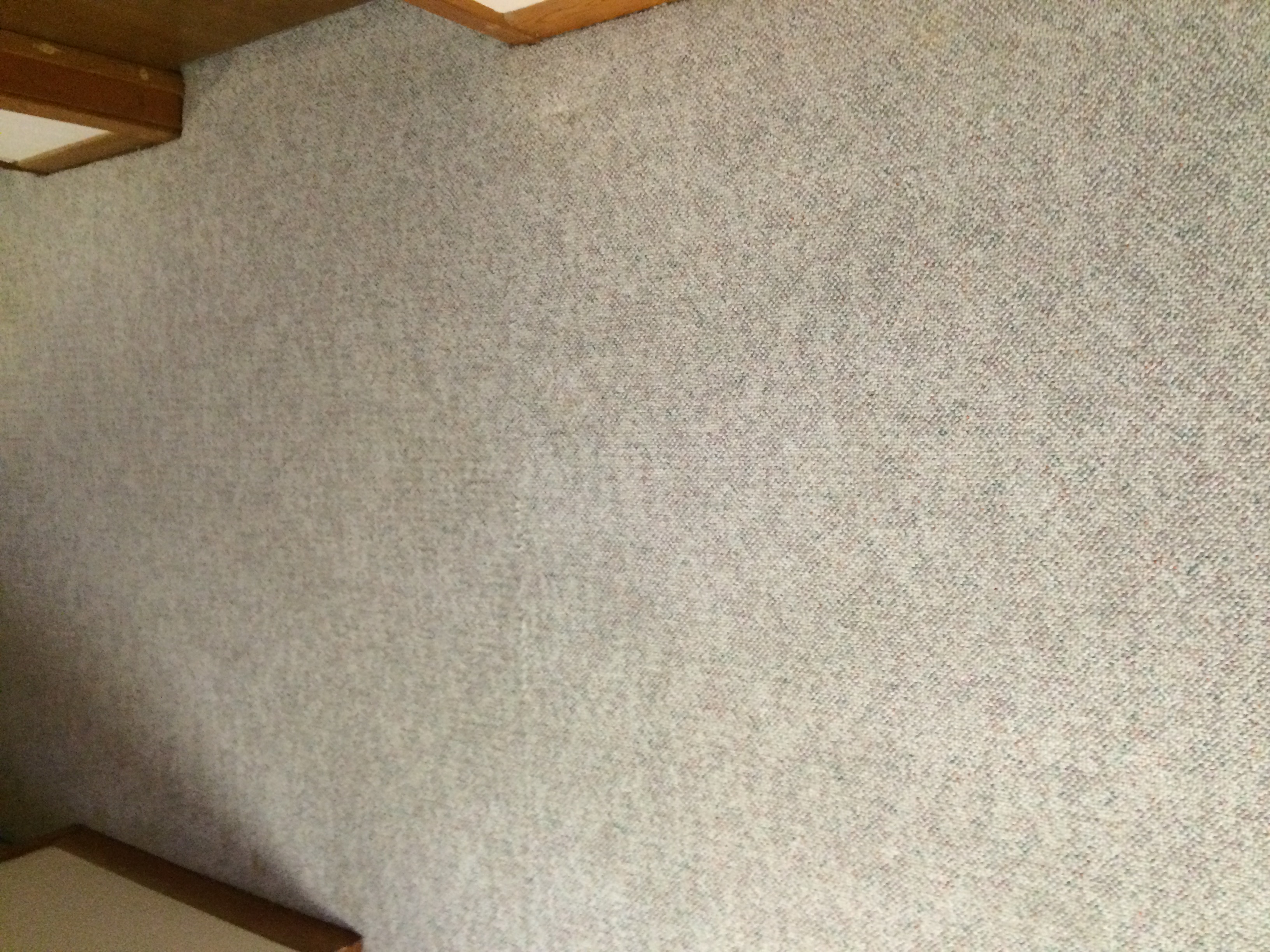 The same tan carpet after dry cleaning, fresh and even