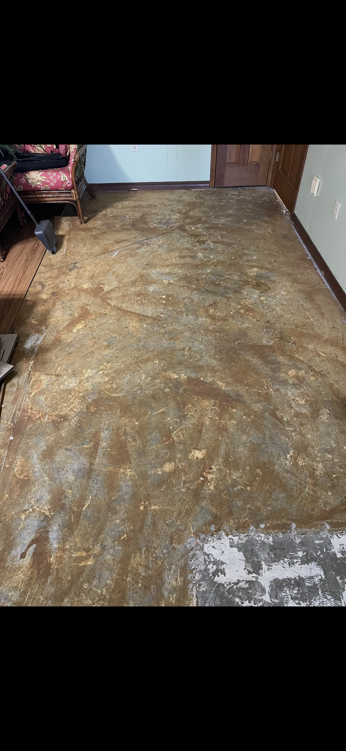 Carpet Cleaning in Livingston, MS