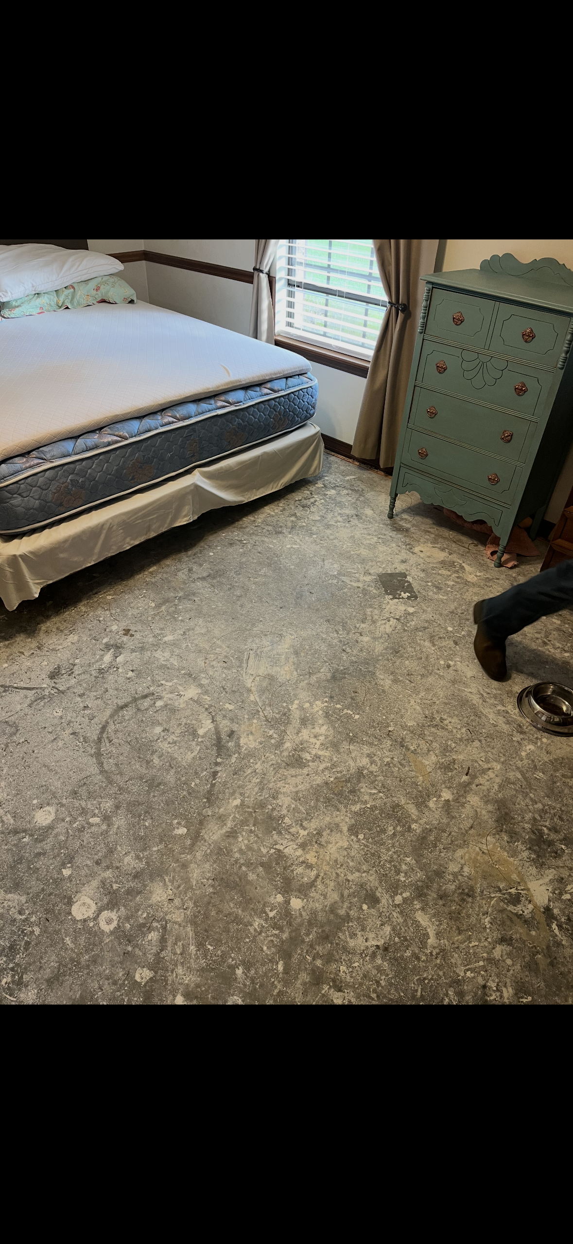 Carpet Cleaners in Livingston, MS